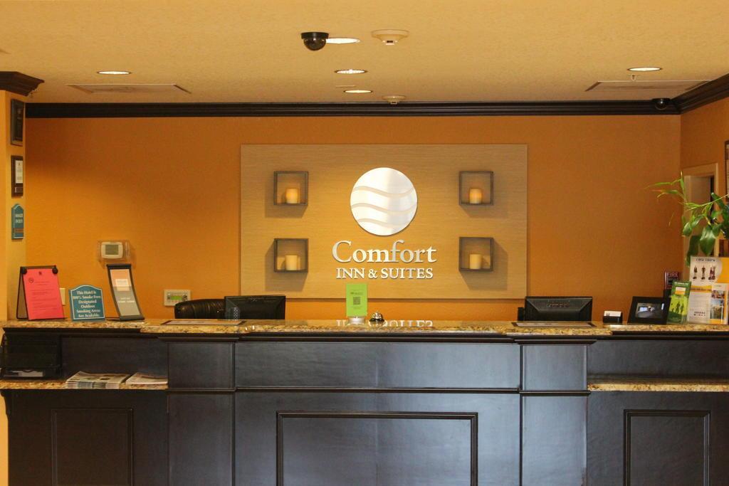 Comfort Inn & Suites Northeast - Gateway Sankt Petersburg Exterior foto