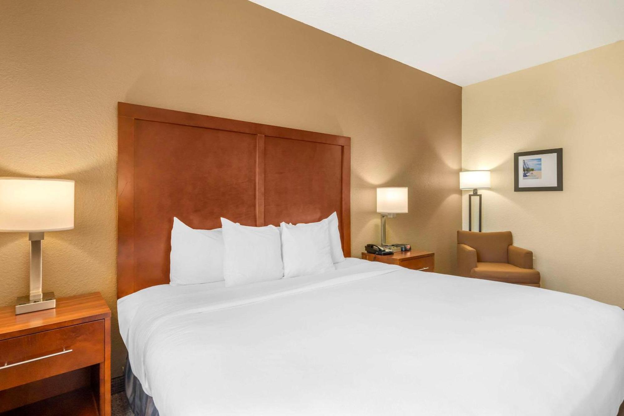 Comfort Inn & Suites Northeast - Gateway Sankt Petersburg Exterior foto