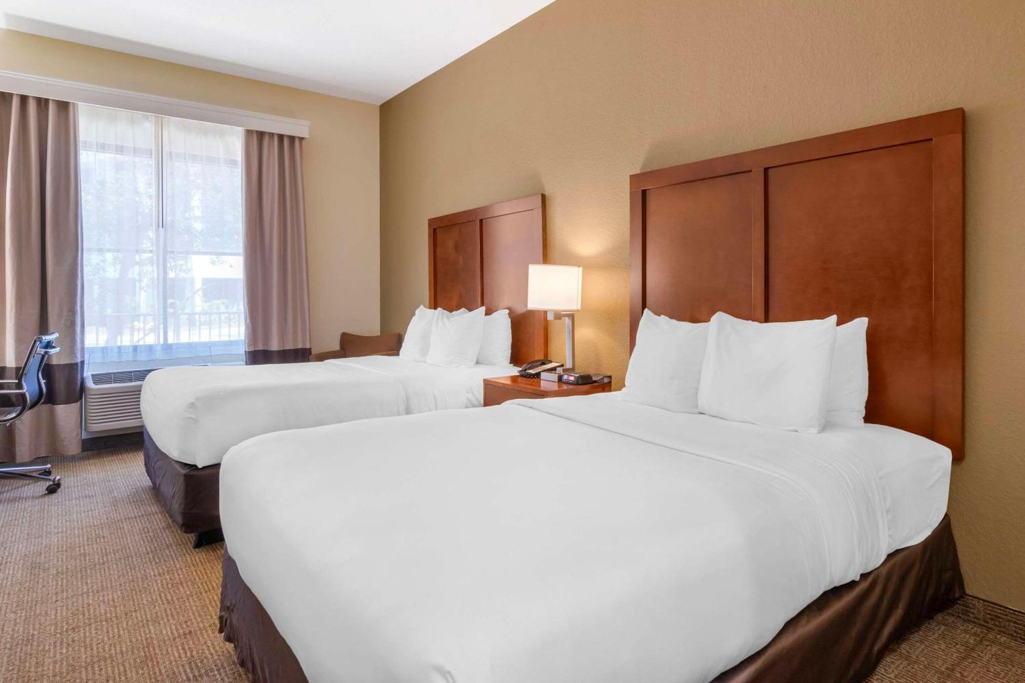 Comfort Inn & Suites Northeast - Gateway Sankt Petersburg Exterior foto