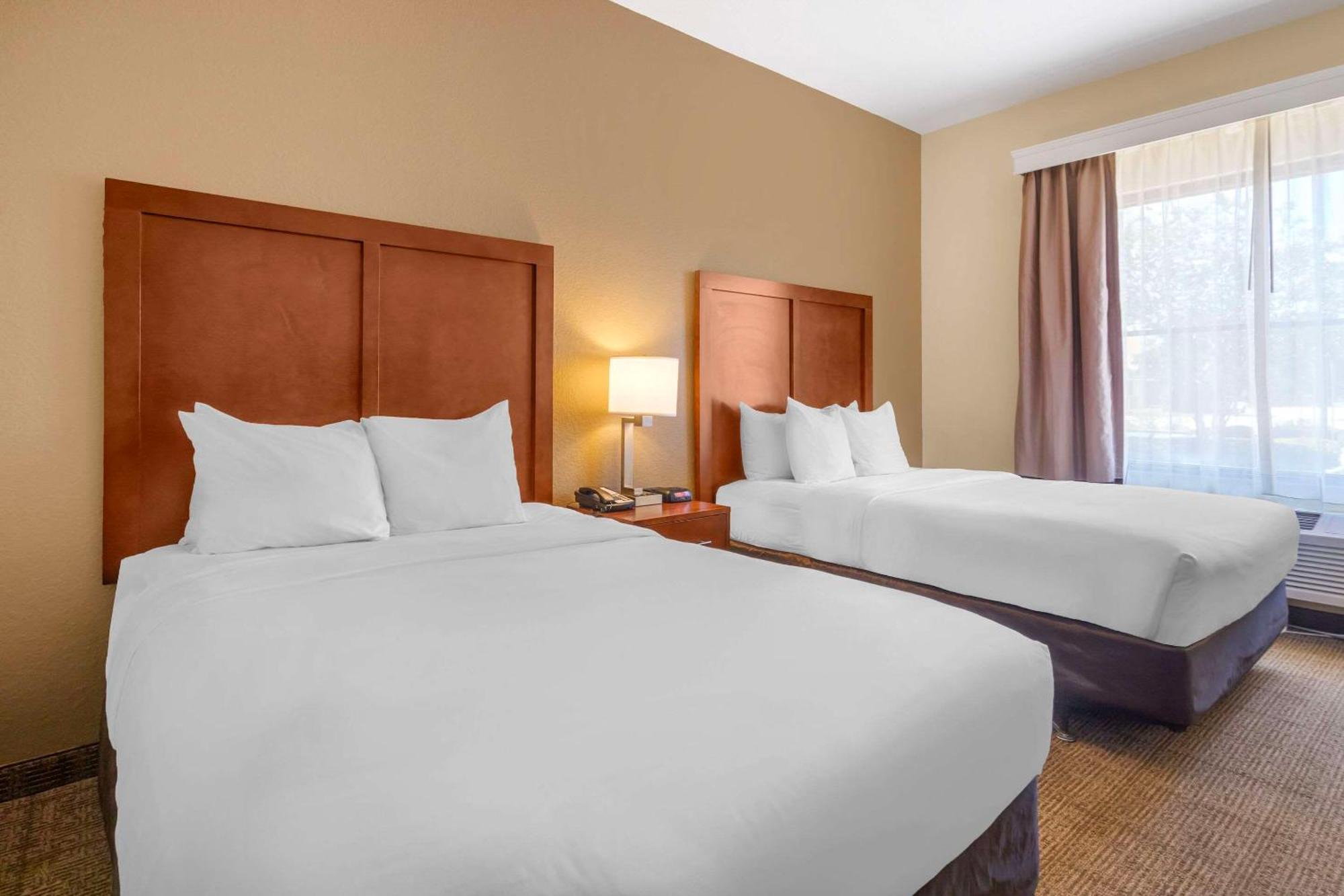 Comfort Inn & Suites Northeast - Gateway Sankt Petersburg Exterior foto