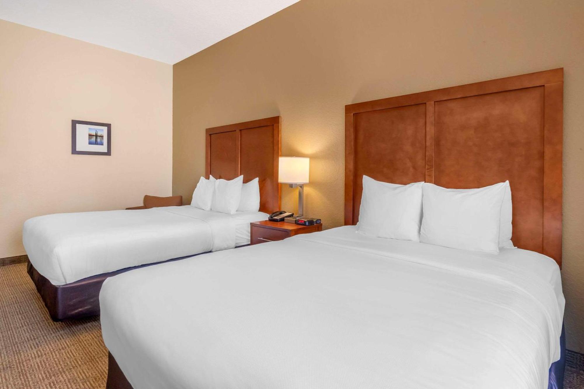 Comfort Inn & Suites Northeast - Gateway Sankt Petersburg Exterior foto