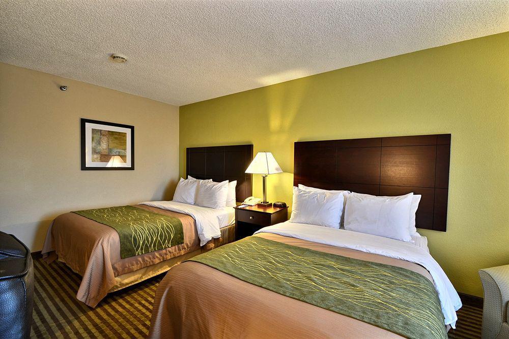 Comfort Inn & Suites Northeast - Gateway Sankt Petersburg Exterior foto